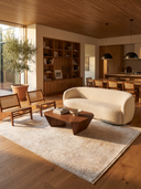 Mono Krem ve Koyu Gri Salon Halısı EW3434